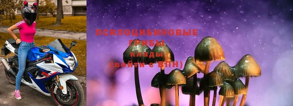 твердый Алексеевка