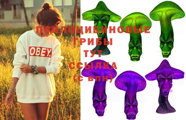 твердый Алексеевка