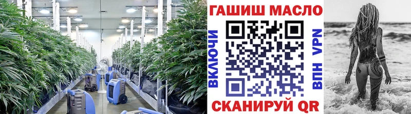 omg как зайти  Тюкалинск  Дистиллят ТГК Wax 