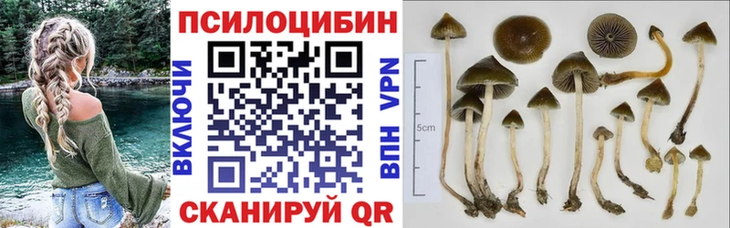 Псилоцибиновые грибы GOLDEN TEACHER  Тюкалинск 