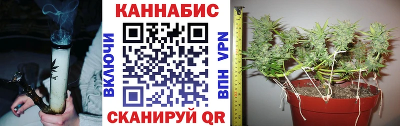 Шишки марихуана гибрид  закладка  Тюкалинск 